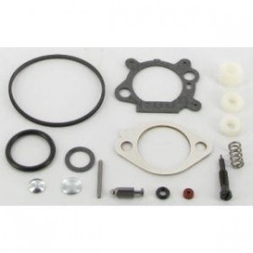 Kit carburateur BRIGGS & STRATTON 498260﻿