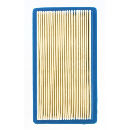 Filtre à air BRIGGS & STRATTON 710265﻿