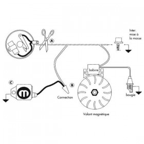 Module électronique