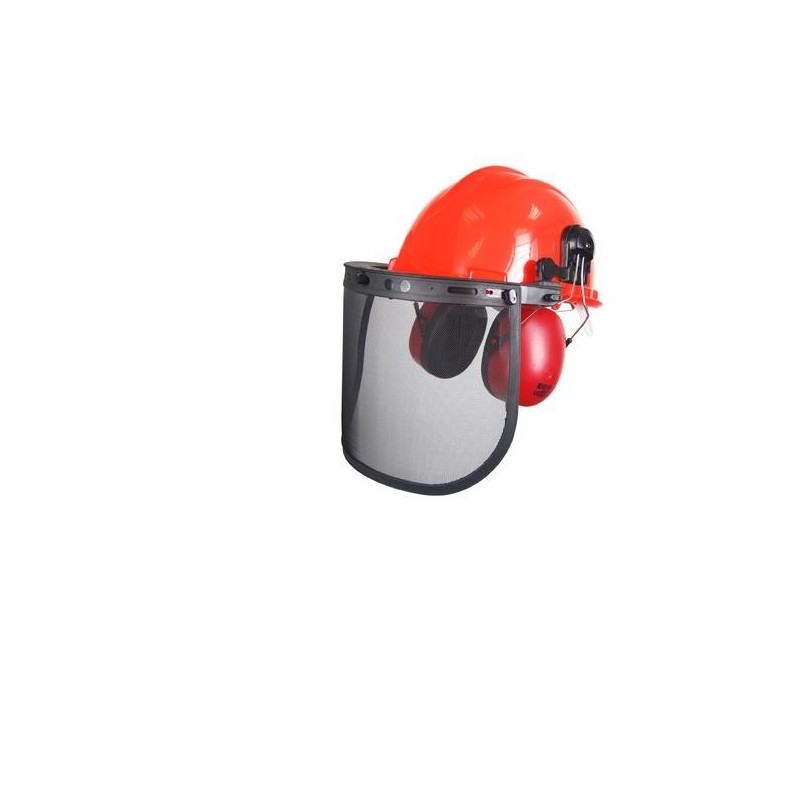 Casque  forestier complet