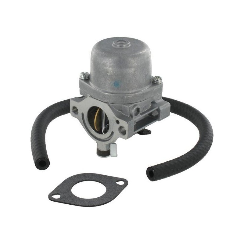 Carburateur Briggs & Stratton 590399