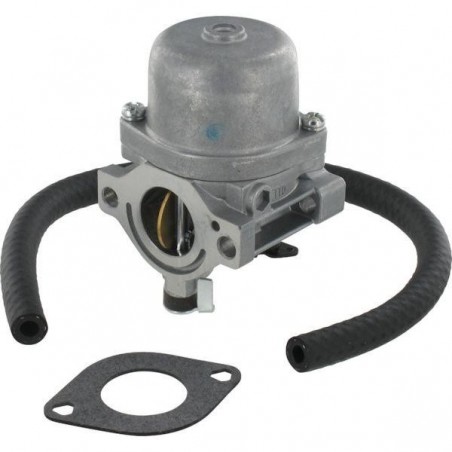 Carburateur Briggs & Stratton 590399