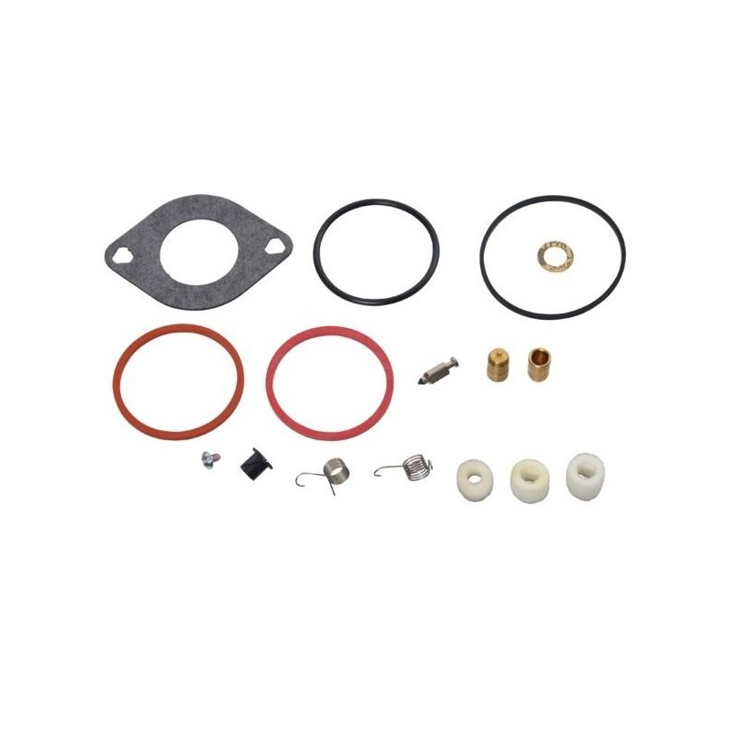 Kit de réparation carburateur Briggs et stratton 697241