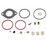 Kit de réparation carburateur Briggs et stratton 697241