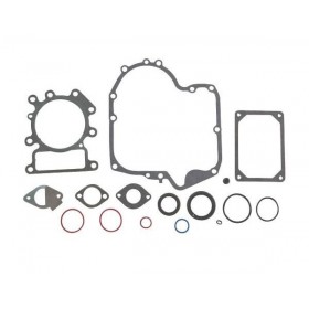 Kit joint moteur Briggs et stratton 796187