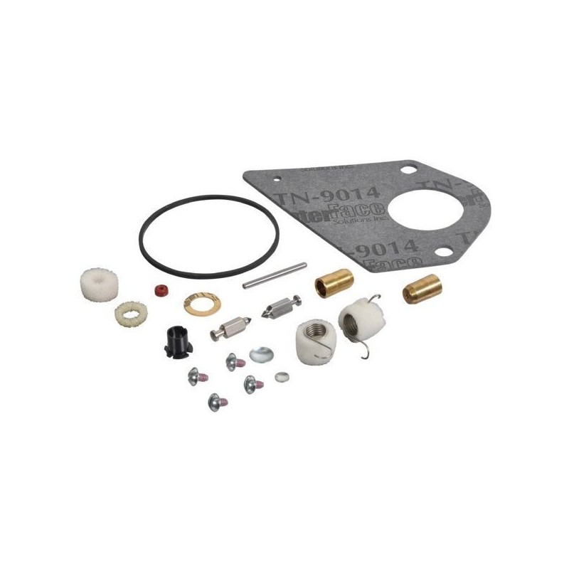 Kit joint carburateur Briggs & Stratton 497535